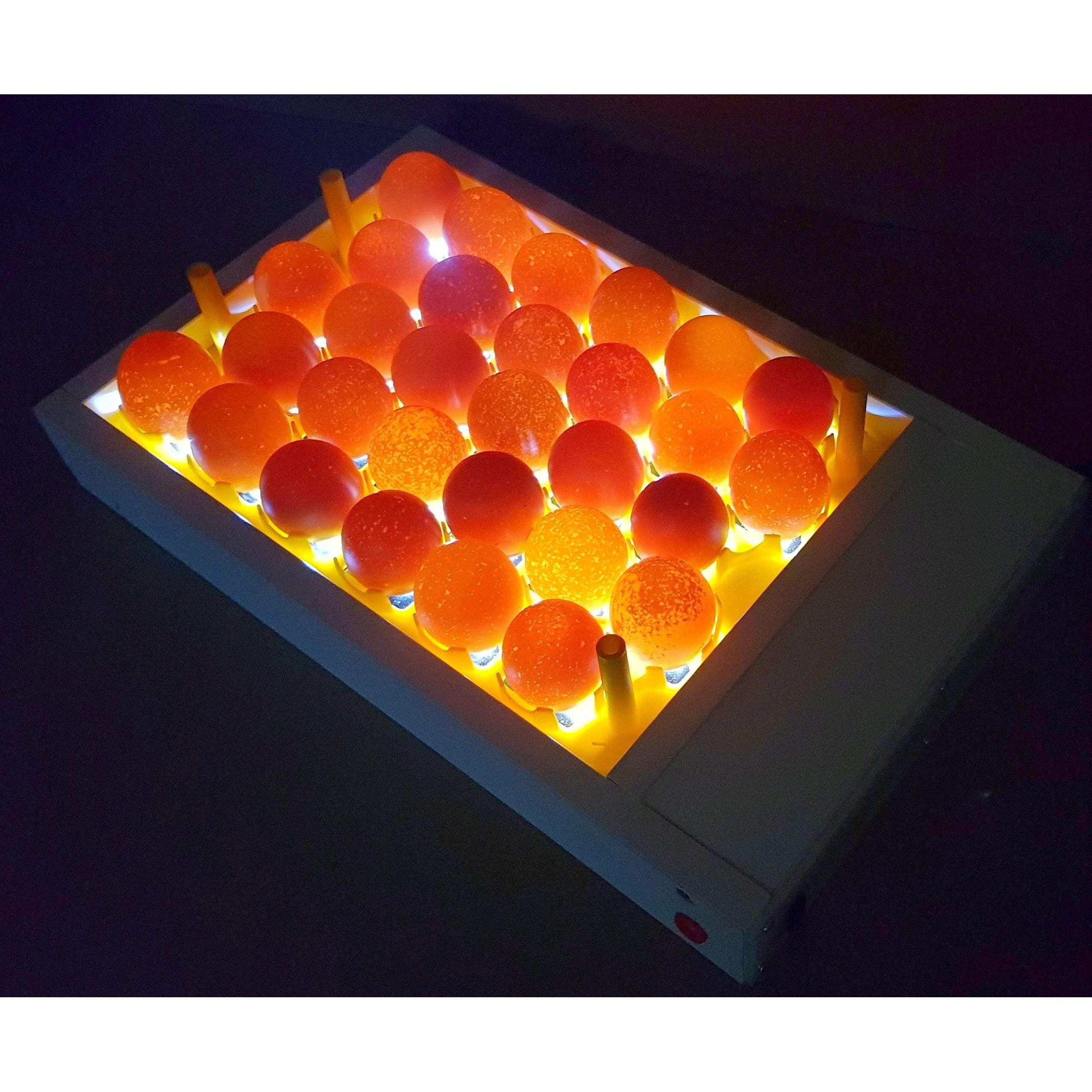 Egg Fertility Tester (Egg Candler) for 30 Chicken Eggs - SureView - Image 3