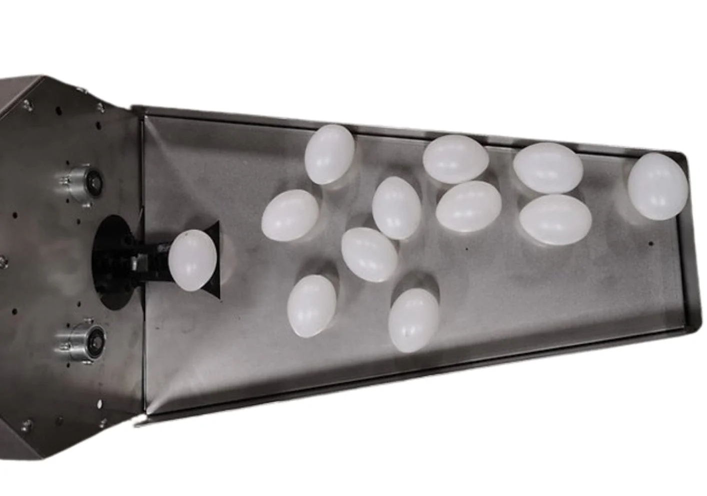 SureGrade™ 1500 Egg Washer - Wash & Clean 1500 Eggs Per Hour - Image 4