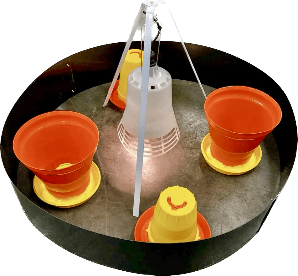 SureGrow™ 100 Chick Brooder - Infrared Electric Brooder - Image 3